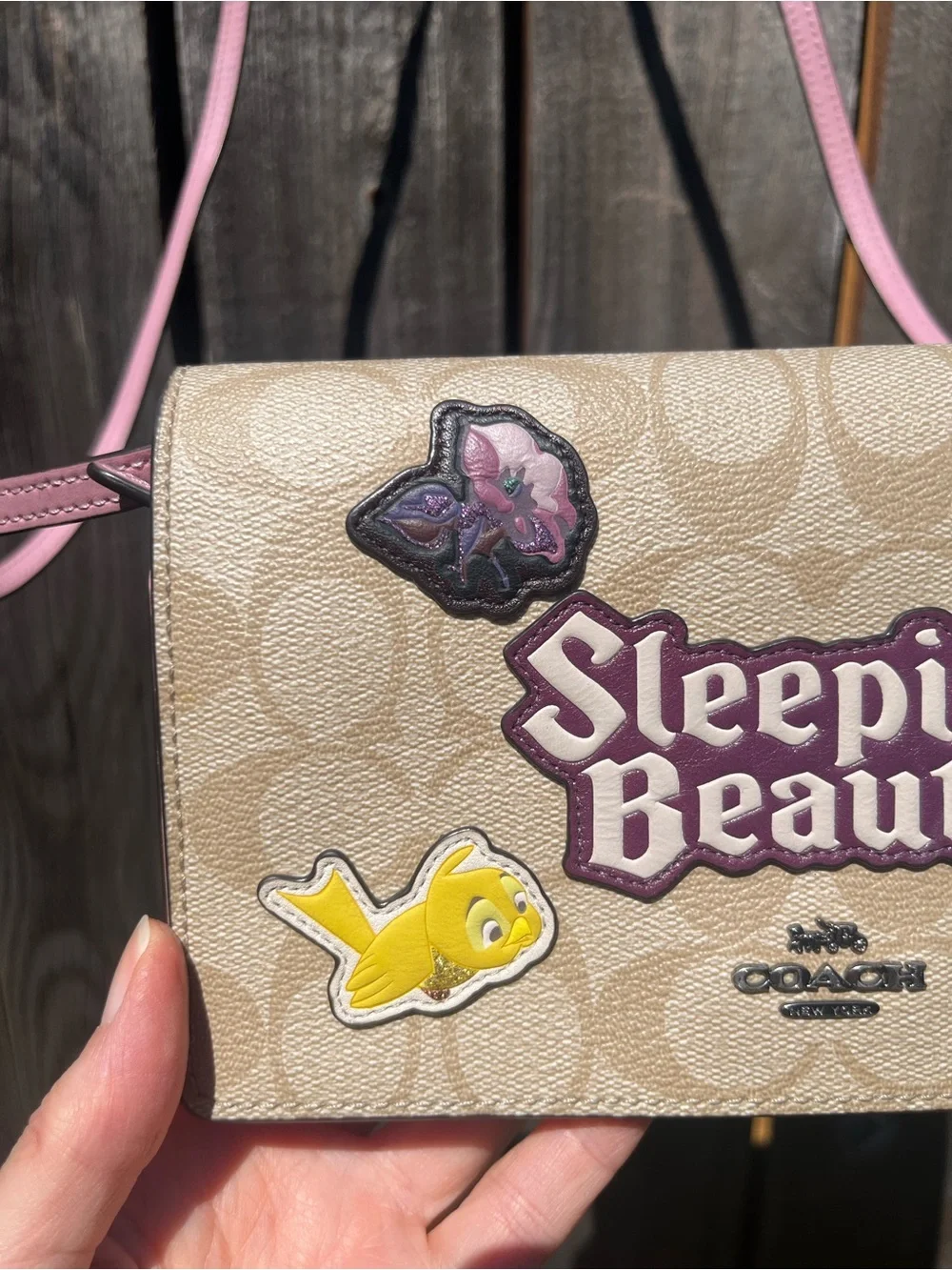 Disney X Coach Hayden Foldover Crossbody Clutch in with Sleeping Beauty Design